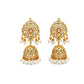 Elegant Pakistani Bridal Choker Jewelry Set with Earrings & Maang Tikka – Gold Tone Wedding Necklace Set for Women