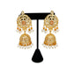 Elegant Pakistani Bridal Choker Jewelry Set with Earrings & Maang Tikka – Gold Tone Wedding Necklace Set for Women