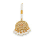 Elegant Pakistani Bridal Choker Jewelry Set with Earrings & Maang Tikka – Gold Tone Wedding Necklace Set for Women